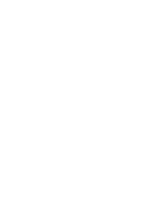shock absorbing lift device line drawing